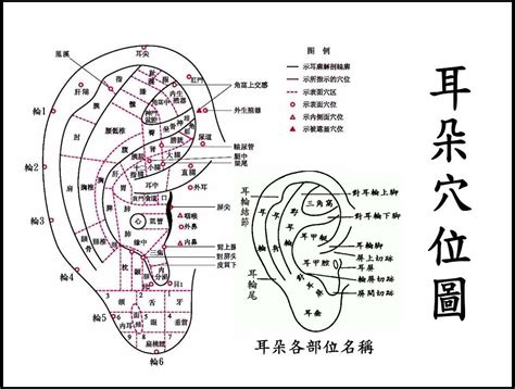 為什麼不能穿耳洞|穿耳洞「6大準備」沒有做，當心發炎、流膿耳朵爛掉